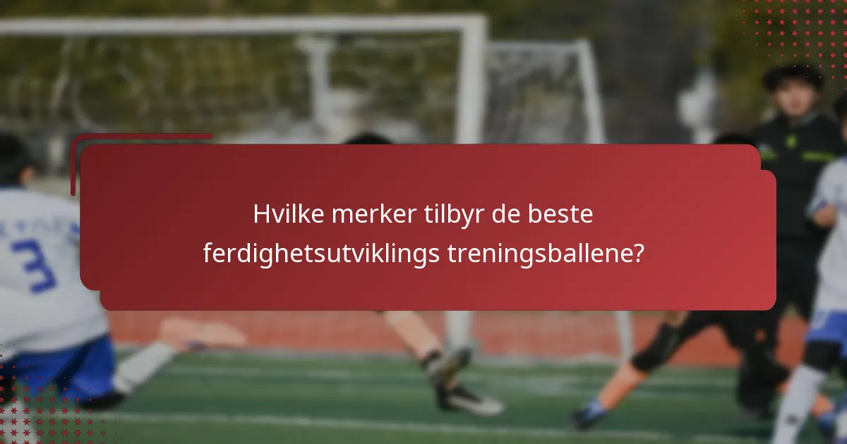 Hvilke merker tilbyr de beste ferdighetsutviklings treningsballene?