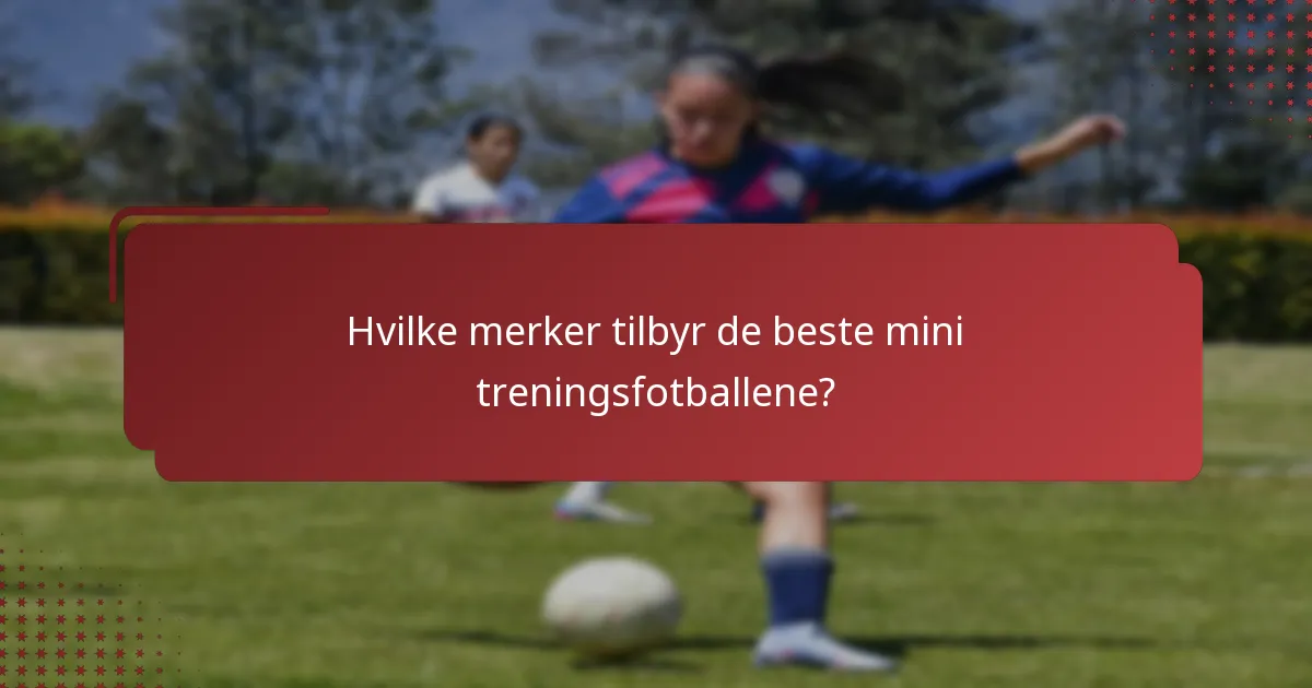 Hvilke merker tilbyr de beste mini treningsfotballene?